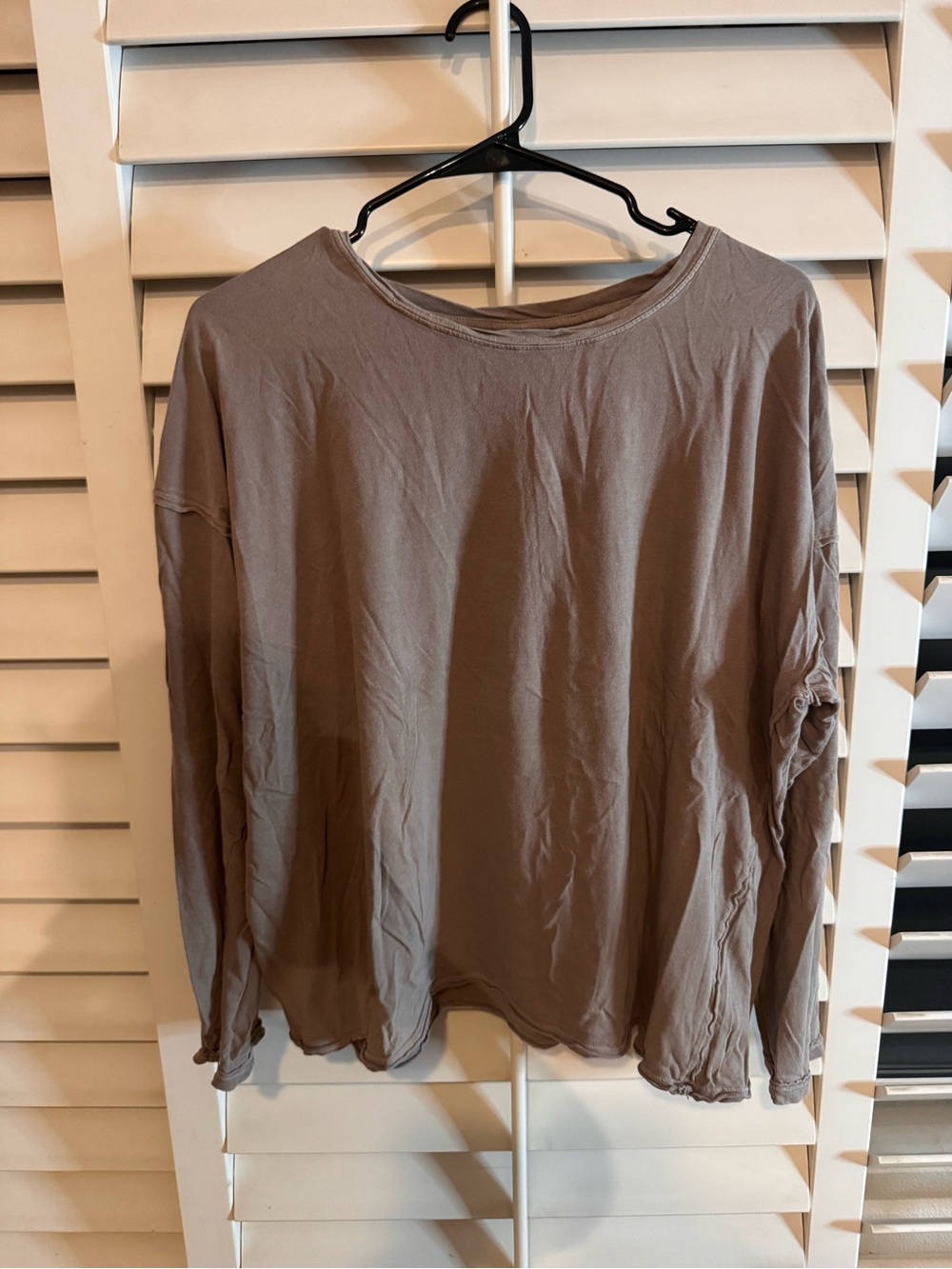 Freepeople Women’s Long Sleeve Crewneck Top in Taupe